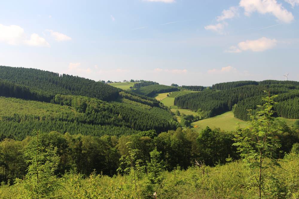 planGIS GmbH – Einblick 4